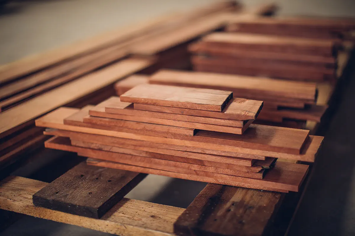 sauna 5